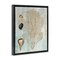 Stupell Industries Detailed Coral & Seashells Floating Frame Design by Susan Arnot